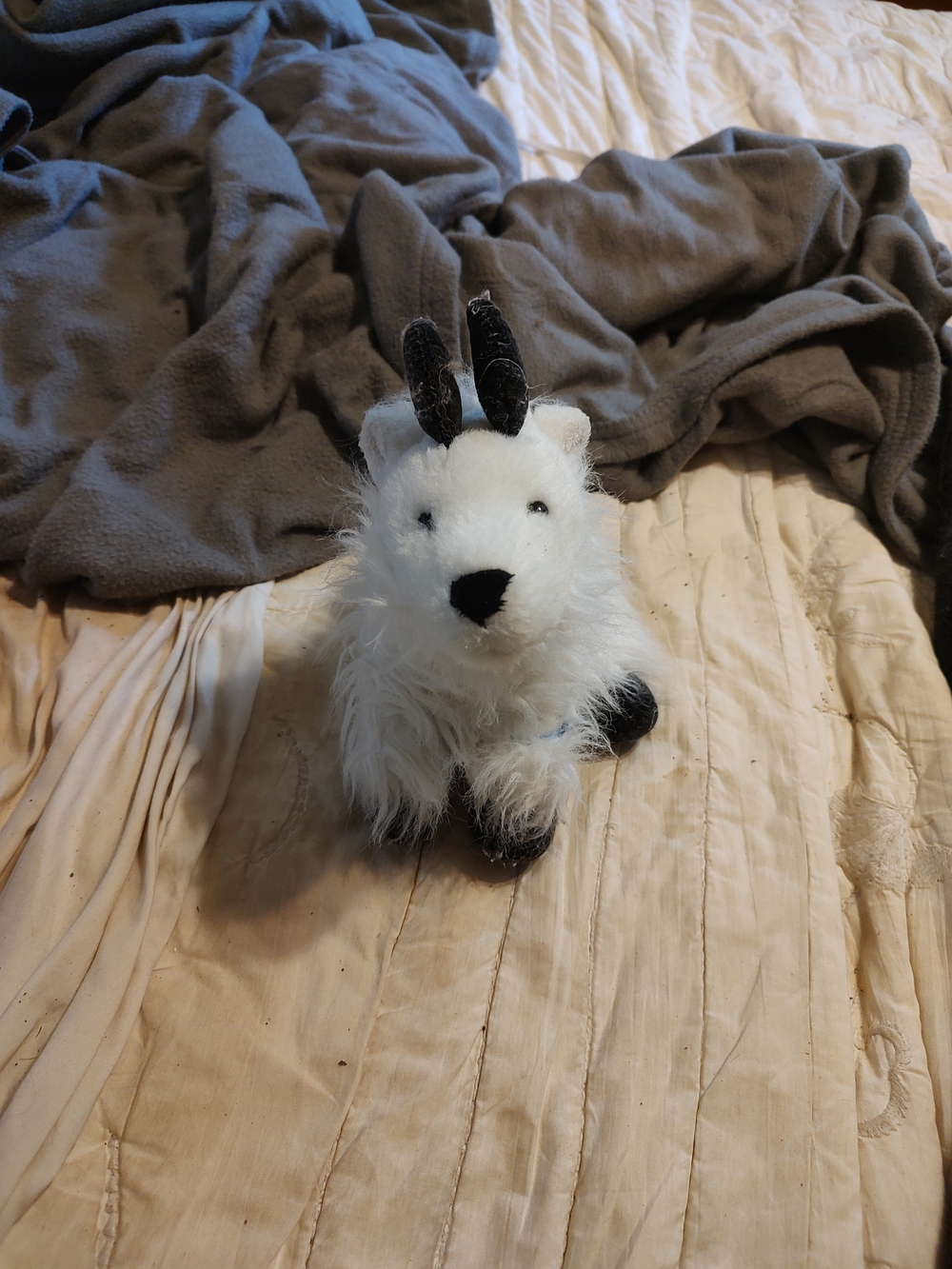 Webkinz Mountain Goat